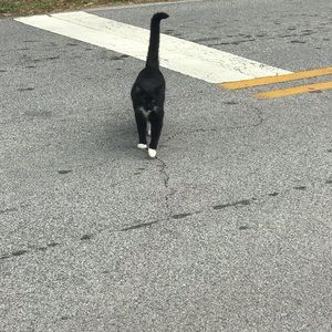 Meet your Posher, Holly